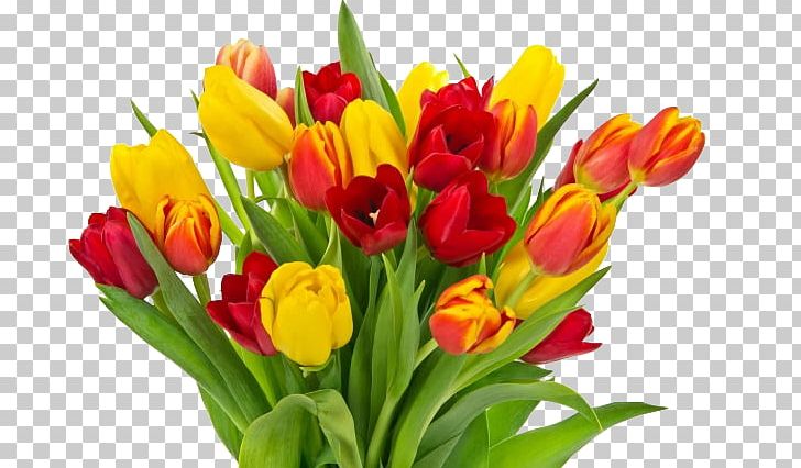 Tulip Mothers Day Flower Bouquet Childrens Day Fathers Day PNG, Clipart, Bouquet, Cut Flowers, Floral Design, Flower, Flower Arranging Free PNG Download