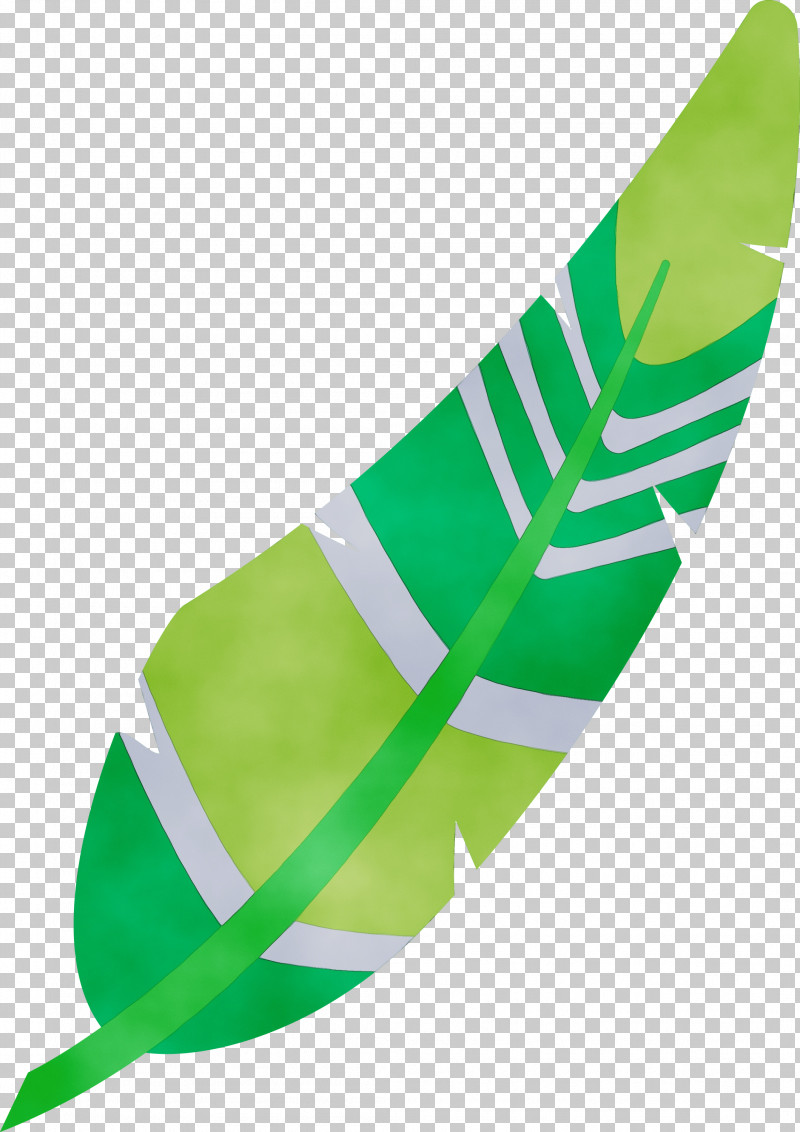 Leaf Green Shoe Plant Structure Biology PNG, Clipart, Biology, Cartoon Feather, Green, Leaf, Paint Free PNG Download