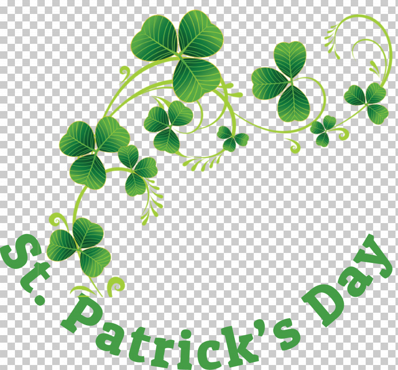 Shamrock PNG, Clipart, Biology, Branching, Herbal Medicine, Leaf, Meter Free PNG Download