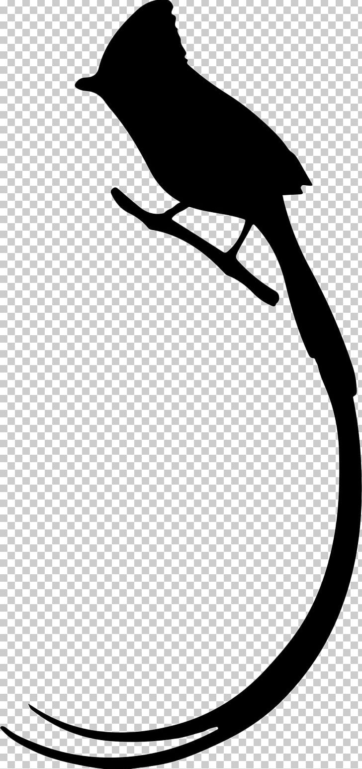 Bird Long Tail Silhouette Owl PNG, Clipart, Animals, Artwork, Beak, Bird, Bird Of Prey Free PNG Download