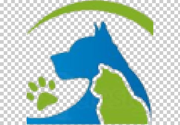 Eno Animal Hospital Veterinarian Dog Cornwallis Road Animal Hospital Clinique Vétérinaire PNG, Clipart, Animal, Area, Blue, Bull City Veterinary Hospital, Computer Wallpaper Free PNG Download