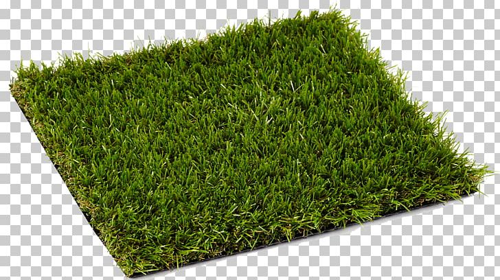 Lawn Artificial Turf Artificial Knowing Carpet Landscape Fabric PNG, Clipart, Artificial Knowing, Artificial Turf, Astroturf, Balcony, Carpet Free PNG Download