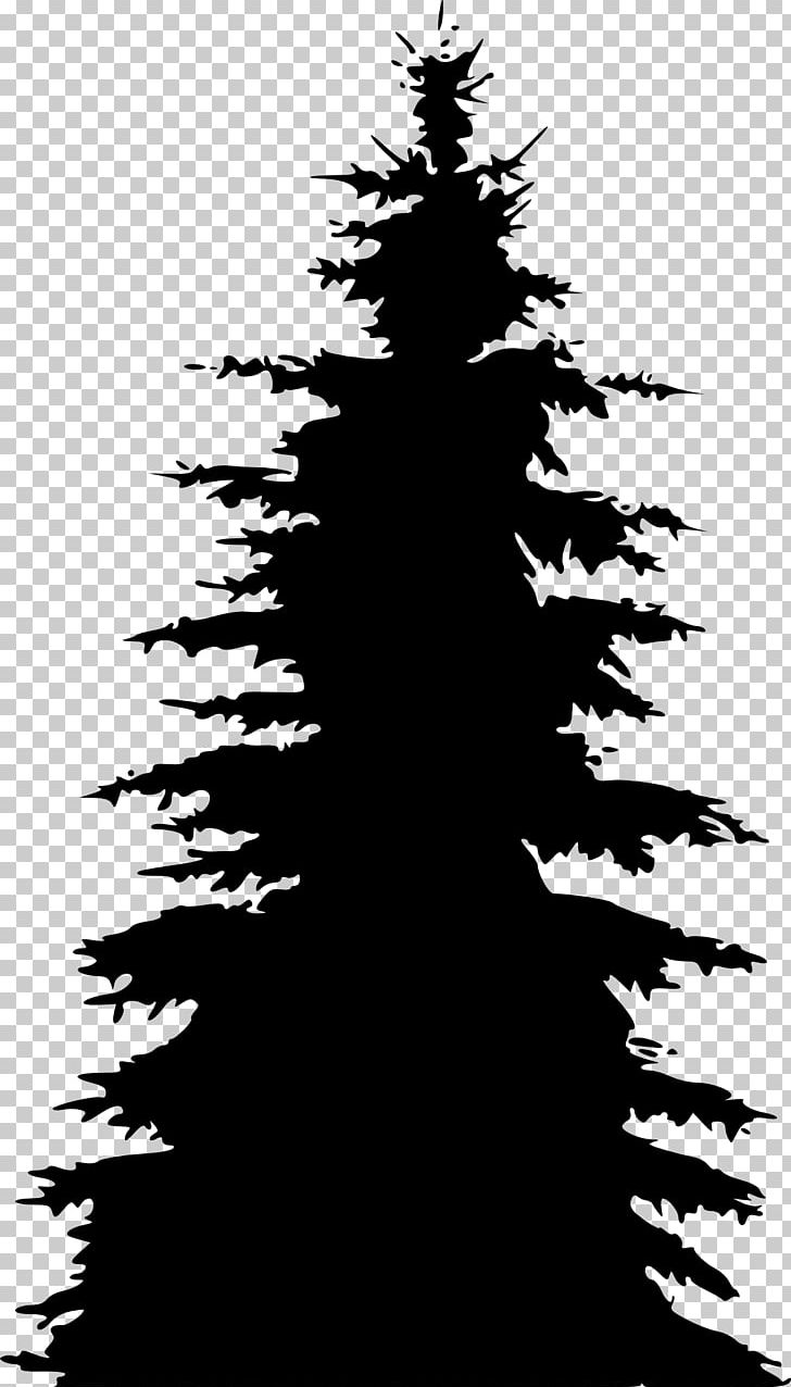 Pine Fir Spruce Tree Silhouette PNG, Clipart, Black And White, Branch, Christmas Decoration, Christmas Tree, Conifer Free PNG Download