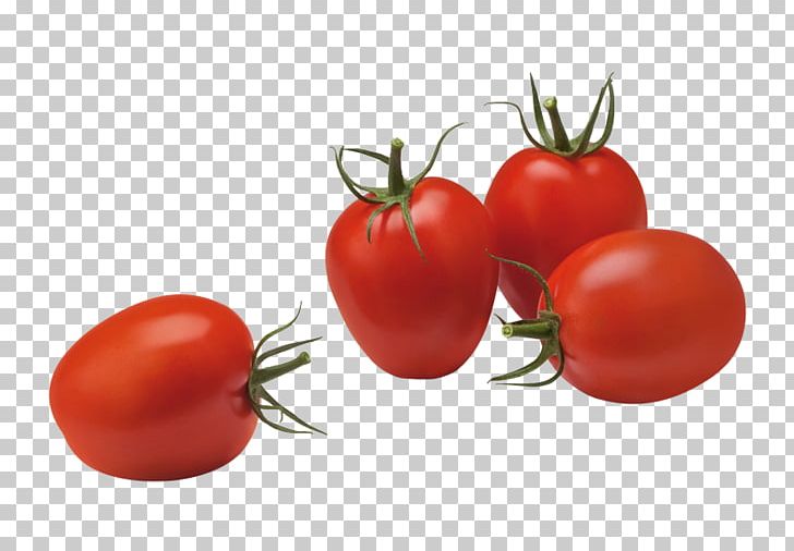 Plum Tomato Vegetable Food Roma Tomato Fruit PNG, Clipart, Bush Tomato, Cherry, Cherry Tomato, Common Plum, Diet Food Free PNG Download
