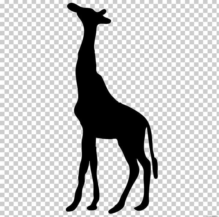 Silhouette West African Giraffe PNG, Clipart, Animal, Animals, Art, Black, Black And White Free PNG Download