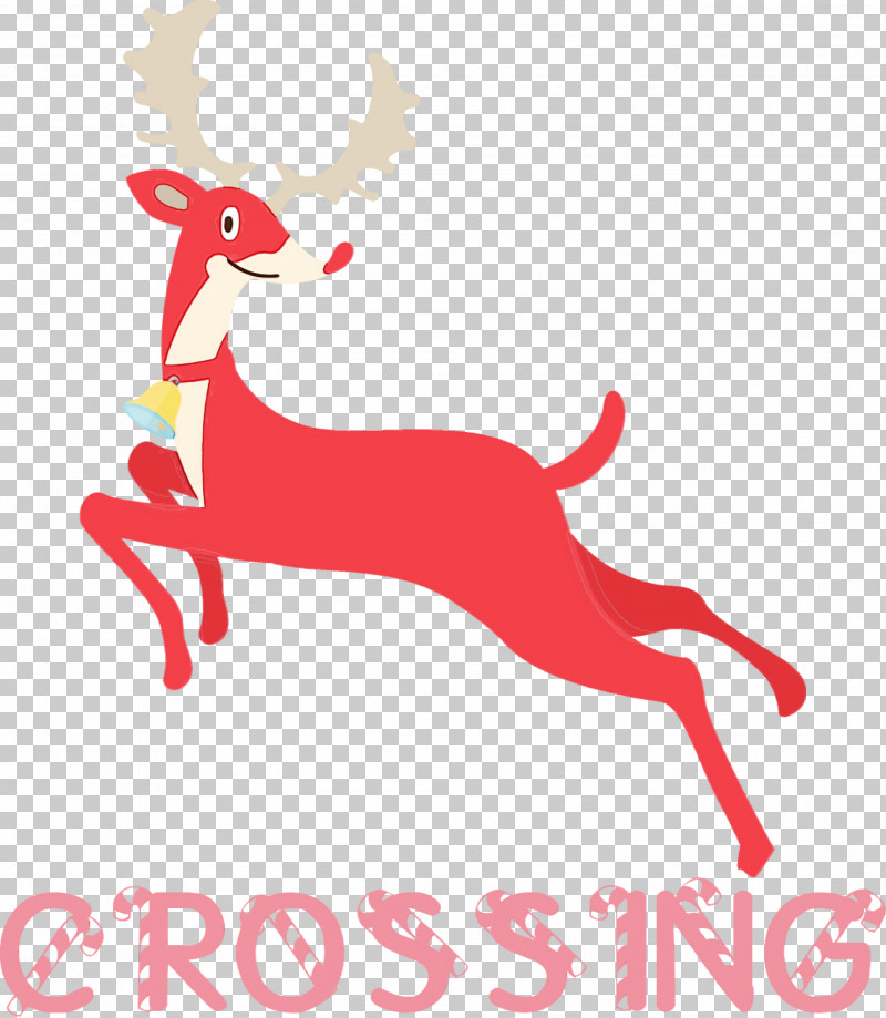 Reindeer PNG, Clipart, Biology, Deer, Deer Crossing, Hotel Holidaym, Logo Free PNG Download