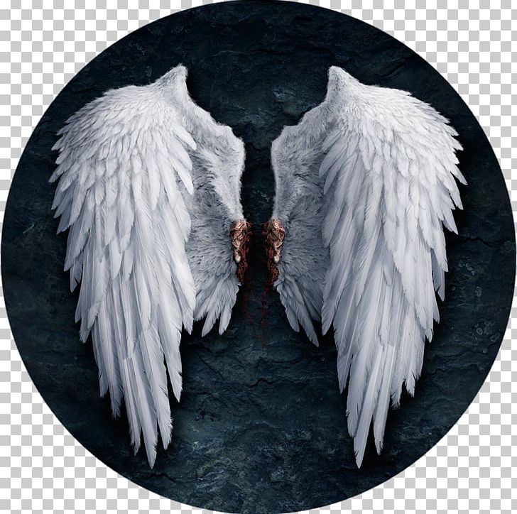 Angels Of The Deep Lucifer Castiel PNG, Clipart, Abrahamic Religions, Angel, Angels, Angel Wings, Beak Free PNG Download