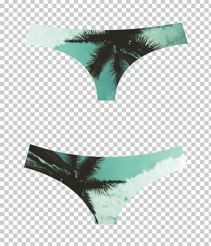 Thong Panties Swim Briefs Swimsuit Underpants PNG, Clipart, Active Undergarment, Arecaceae, Bikini, Briefs, Lingerie Free PNG Download