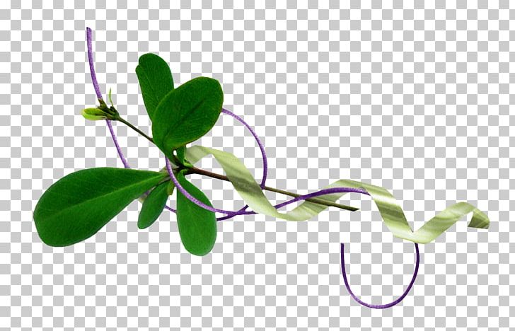 Leaf Flower PNG, Clipart, Auglis, Branch, Branches, Branches And Leaves, Colored Free PNG Download