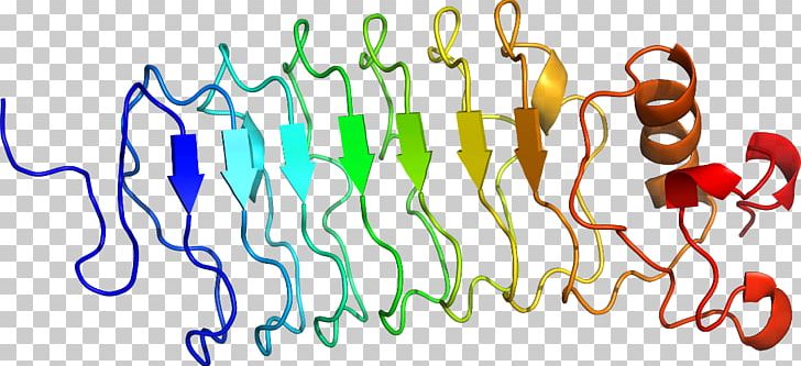 Organism Line PNG, Clipart, Art, Food, Graphic Design, Line, Organism Free PNG Download