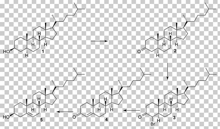 Steroid Sulfatase Estradiol Testosterone PNG, Clipart, Androstenedione, Angle, Area, Black, Black And White Free PNG Download
