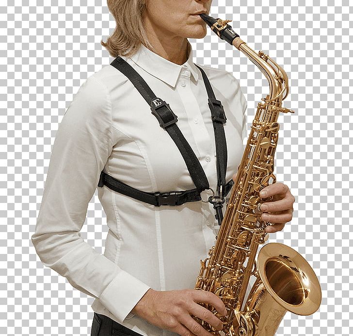 Baritone Saxophone Clarinet Tenor Saxophone Alto Saxophone PNG, Clipart, Alto, Alto Saxophone, Baritone Saxophone, Bass Oboe, Brass Instrument Free PNG Download