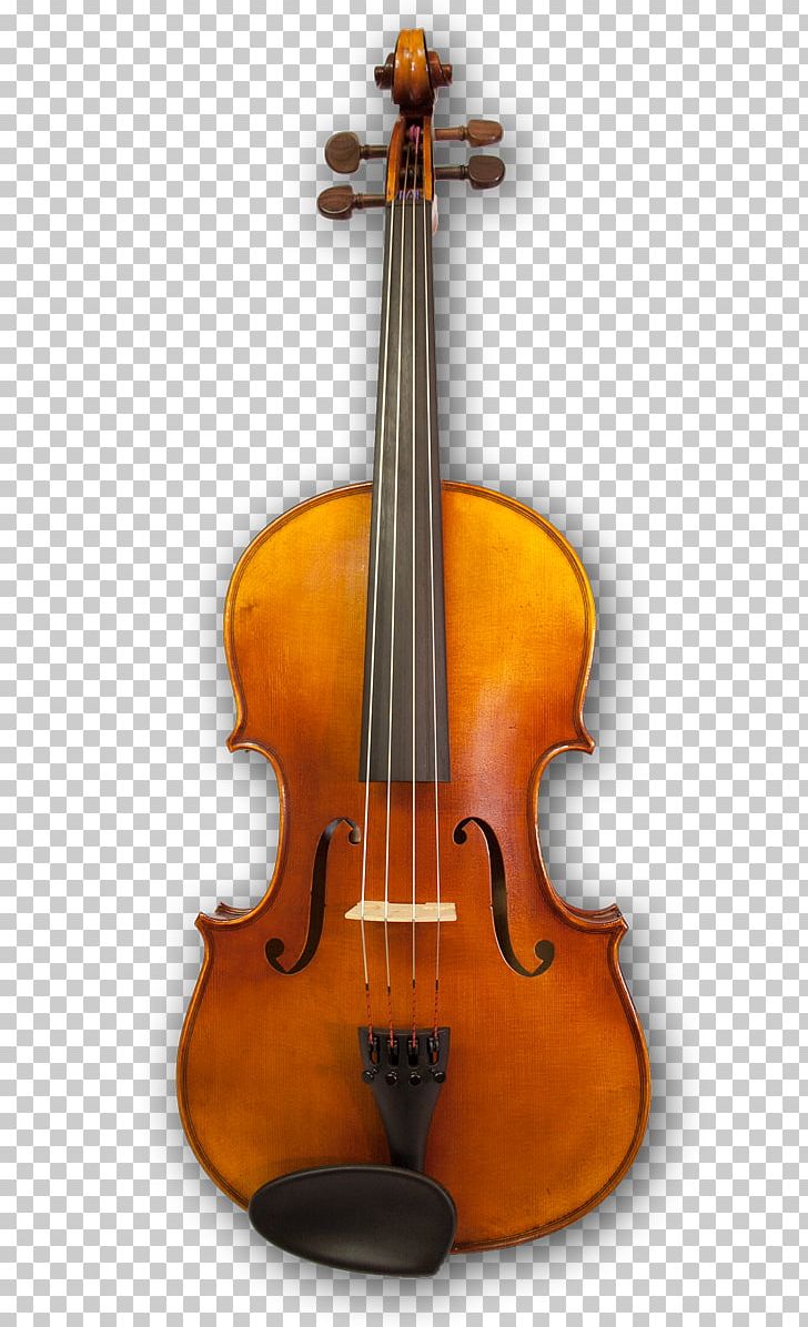 Cello Violin Musical Instruments Viola String Instruments PNG, Clipart, Bass Guitar, Bass Violin, Bow, Bowed String Instrument, Cellist Free PNG Download