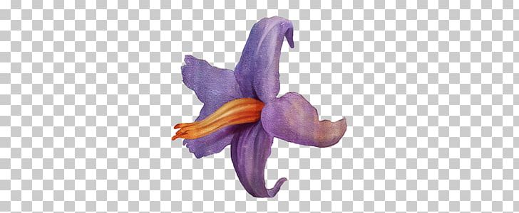 Cut Flowers Petal Flowering Plant PNG, Clipart, Animal Figure, Cut Flowers, Flower, Flowering Plant, Others Free PNG Download