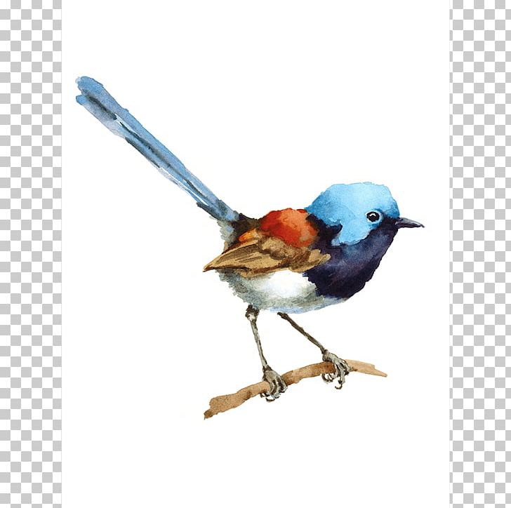 House Wren Bird Watercolor Painting PNG, Clipart, Animals, Art, Beak, Bird, Bluebird Free PNG Download