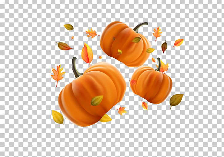 Pumpkin Calabaza Halloween Jack-o'-lantern PNG, Clipart, Cartoon, Computer Wallpaper, Decorative Patterns, Desktop Wallpaper, Food Free PNG Download