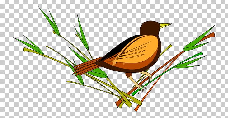 Bird Sparrow PNG, Clipart, Animal, Animals, Beak, Bird, Bird Flight Free PNG Download