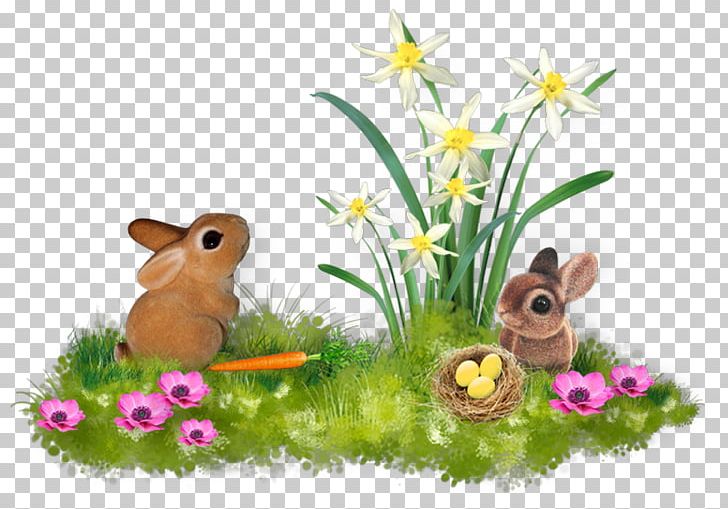 Domestic Rabbit Hare Flora Fauna Meadow PNG, Clipart, Domestic Rabbit, Easter, Easter Monday, Fauna, Flora Free PNG Download