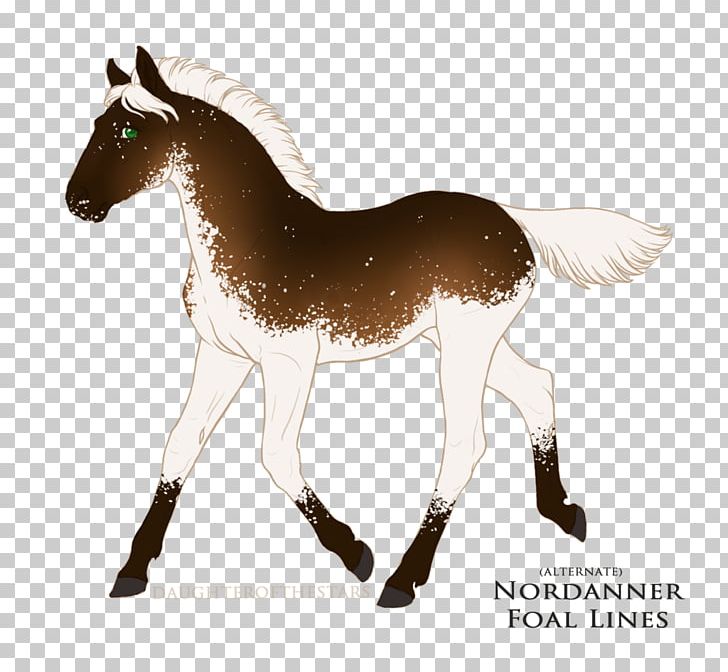 Mule Foal Stallion Mustang Mare PNG, Clipart, Bridle, Cherry Shade, Colt, Donkey, Foal Free PNG Download