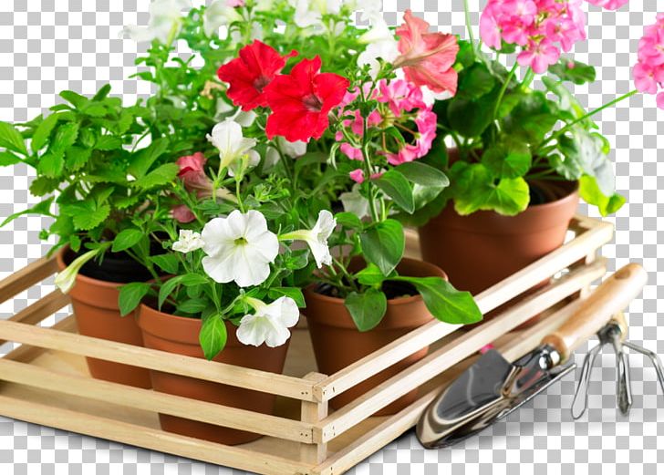 Paradies Gärten Wesel Garden Flowerpot Floral Design PNG, Clipart, Annual Plant, Blume, Calendar, Cut Flowers, Exp Free PNG Download