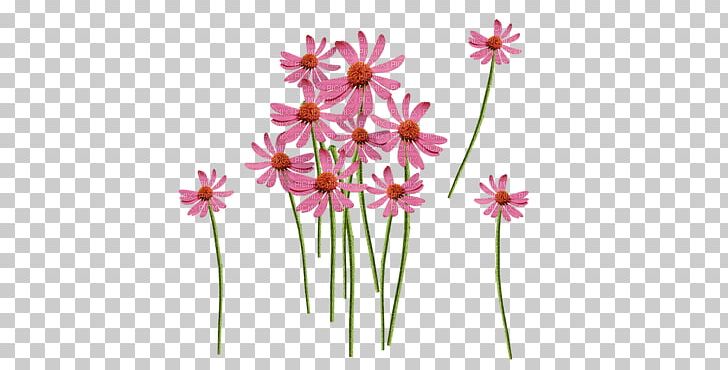 Plant Stem Herbaceous Plant Daisy Family PNG, Clipart, Biscuits, Daisy, Daisy Family, Deco, Fleur Free PNG Download