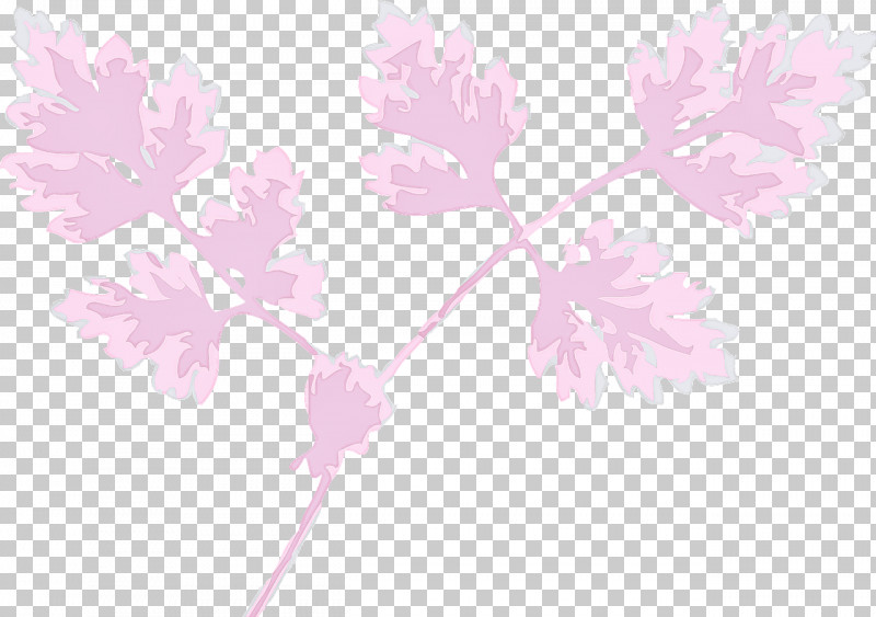 Pink Flower Leaf Plant Branch PNG, Clipart, Branch, Flower, Leaf, Pedicel, Pink Free PNG Download