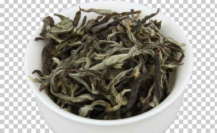 Nilgiri Tea White Tea Dianhong Hōjicha PNG, Clipart,  Free PNG Download