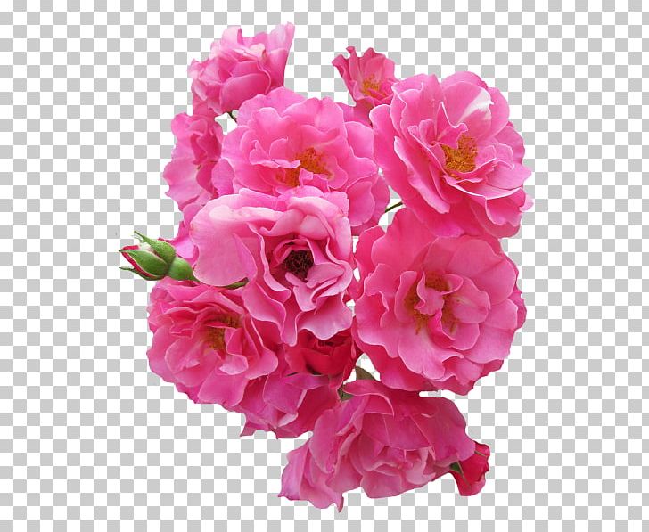 Rose Pink Flowers Flower Bouquet PNG, Clipart, Annual Plant, Artificial Flower, Blossom, Cut Flowers, Desktop Wallpaper Free PNG Download