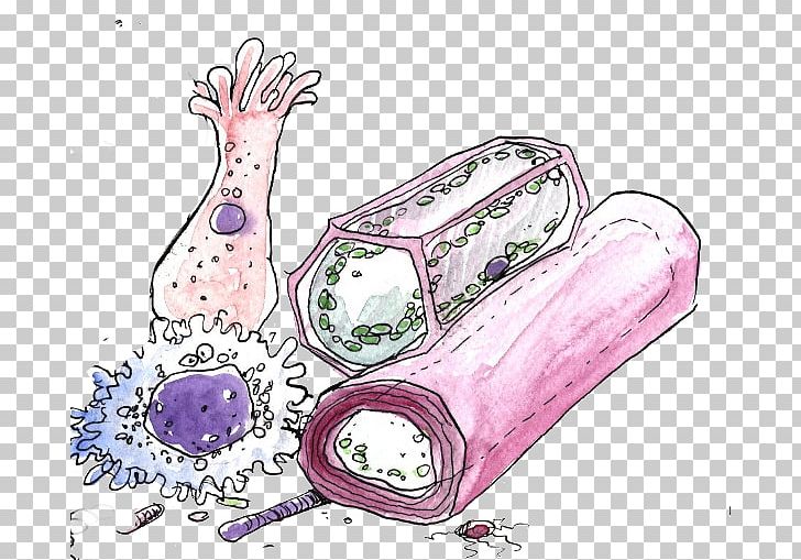 Organism Natural Environment Automotive Design PNG, Clipart, Automotive Design, Bacteria, Cartoon, Cell, Drawing Free PNG Download
