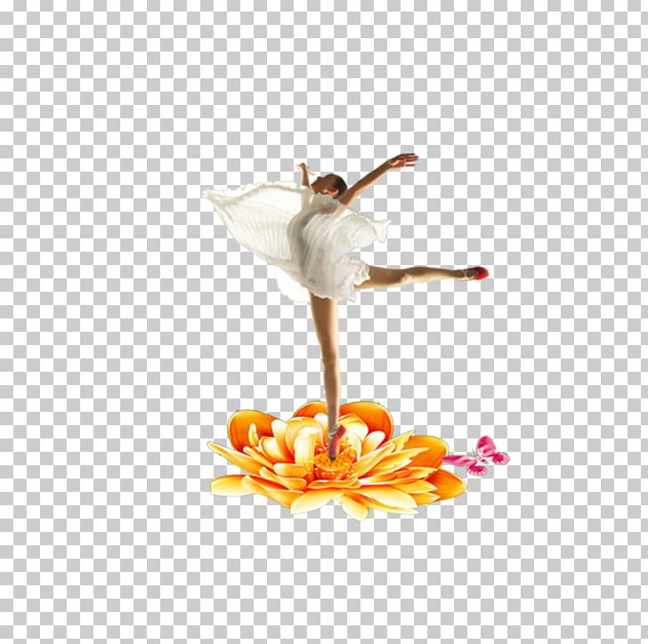 Ballet Dance PNG, Clipart, Art, Balerin, Ballet, Ballet Dancer, Computer Wallpaper Free PNG Download