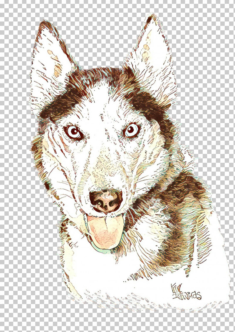Dog Head Drawing Working Dog PNG, Clipart, Dog, Drawing, Head, Working Dog Free PNG Download