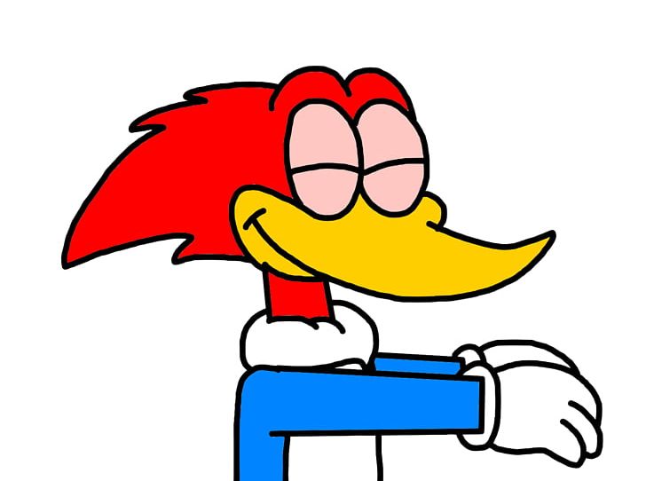 Woody Woodpecker Wally Walrus Animated Cartoon PNG, Clipart, Animals, Animated Cartoon, Animation, Area, Artwork Free PNG Download