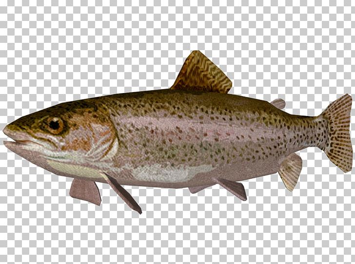 Coastal Cutthroat Trout Coho Salmon Rainbow Trout PNG, Clipart, Animals, Bony Fish, Chinook Salmon, Coastal Cutthroat Trout, Cod Free PNG Download