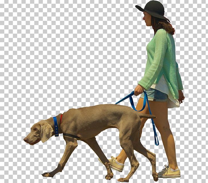 Dog Walking Architectural Rendering PNG, Clipart, Animals, Architectural Rendering, Architecture, Carnivoran, Computer Graphics Free PNG Download