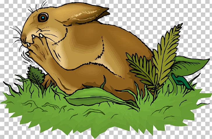 Domestic Rabbit European Hare European Rabbit PNG, Clipart, Animal, Animals, Art, Carnivoran, Clip Free PNG Download