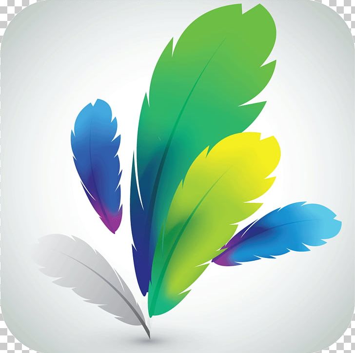 Drawing PNG, Clipart, Color, Computer Icons, Computer Wallpaper, Drawing, Feather Free PNG Download