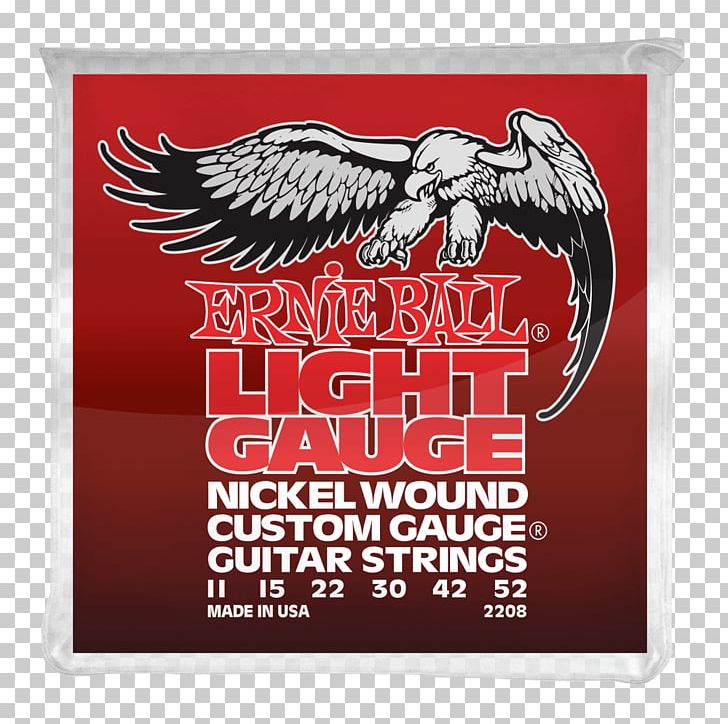 Steel-string Acoustic Guitar Electric Guitar Musician PNG, Clipart, Advertising, Angus Young, Banjo, Banner, Bass Guitar Free PNG Download