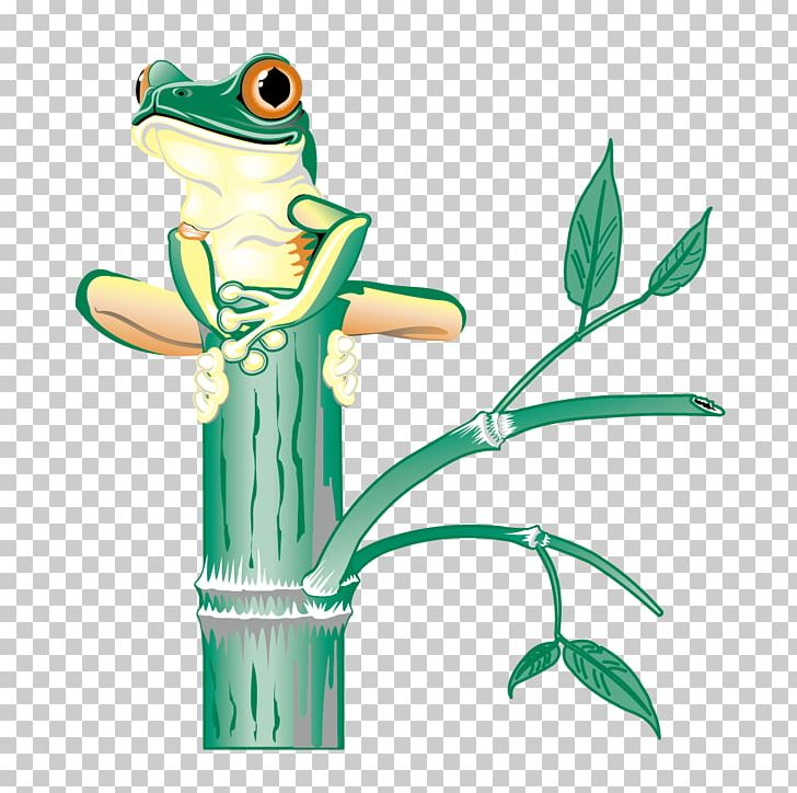 Tree Frog PNG, Clipart, Amphibian, Animal, Animals, Branch, Branches Free PNG Download