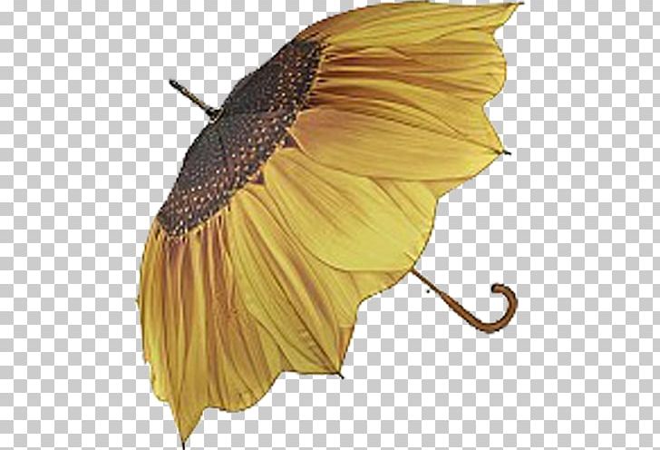 Yellow Petals PNG, Clipart, Amazoncom, Auringonvarjo, Clothing, Dress, Fashion Free PNG Download