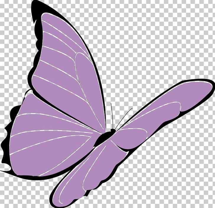 Butterfly Purple Violet PNG, Clipart, Blog, Blue, Bluegreen, Brush Footed Butterfly, Butterfly Free PNG Download
