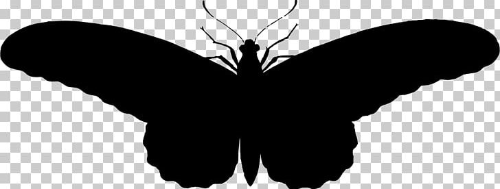 Butterfly Silhouette PNG, Clipart, Arthropod, Black, Black And White, Brush Footed Butterfly, Butte Free PNG Download