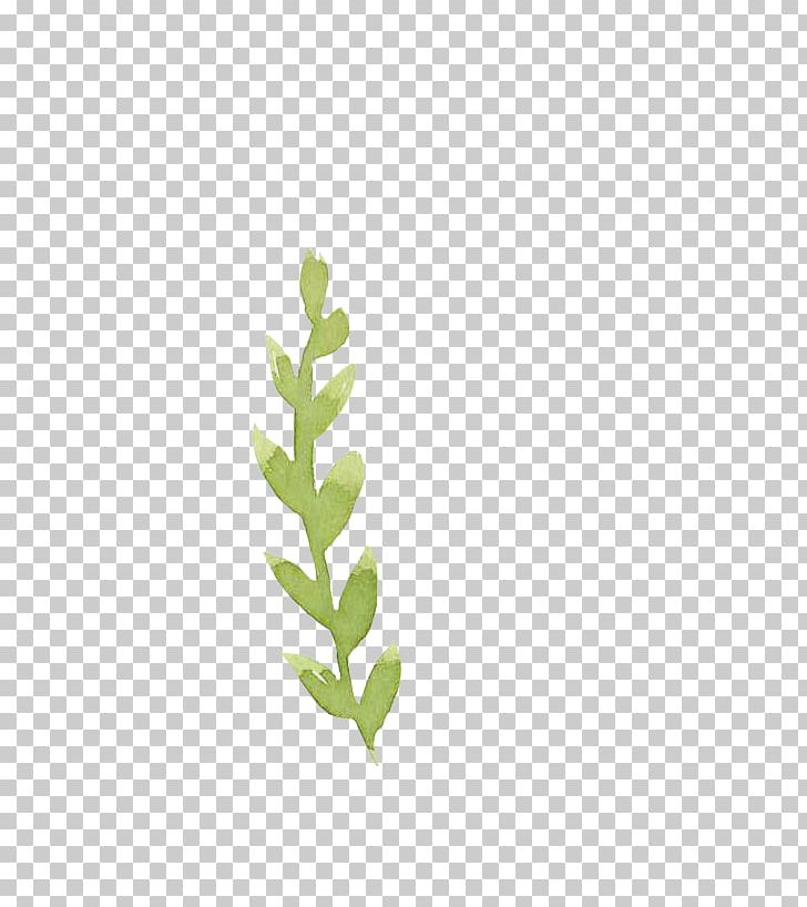 Green Leaf Drawing PNG, Clipart, Blue, Branch, Color, Download, Drawing Free PNG Download