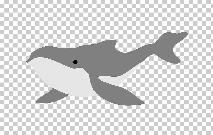 Tucuxi Cetacea Porpoise Killer Whale Humpback Whale PNG, Clipart, Animals, Beak, Bird, Bottlenose Dolphin, Bulldog Free PNG Download