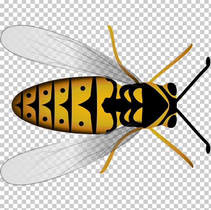 Western Honey Bee Hornet Beehive PNG, Clipart, Arthropod, Bee, Beehive, Bumblebee, Fly Free PNG Download