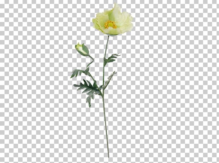 Artificial Flower Cut Flowers LG&E And KU Energy Floristry PNG, Clipart, Anemone, Artificial Flower, Bud, Cut Flowers, Flora Free PNG Download
