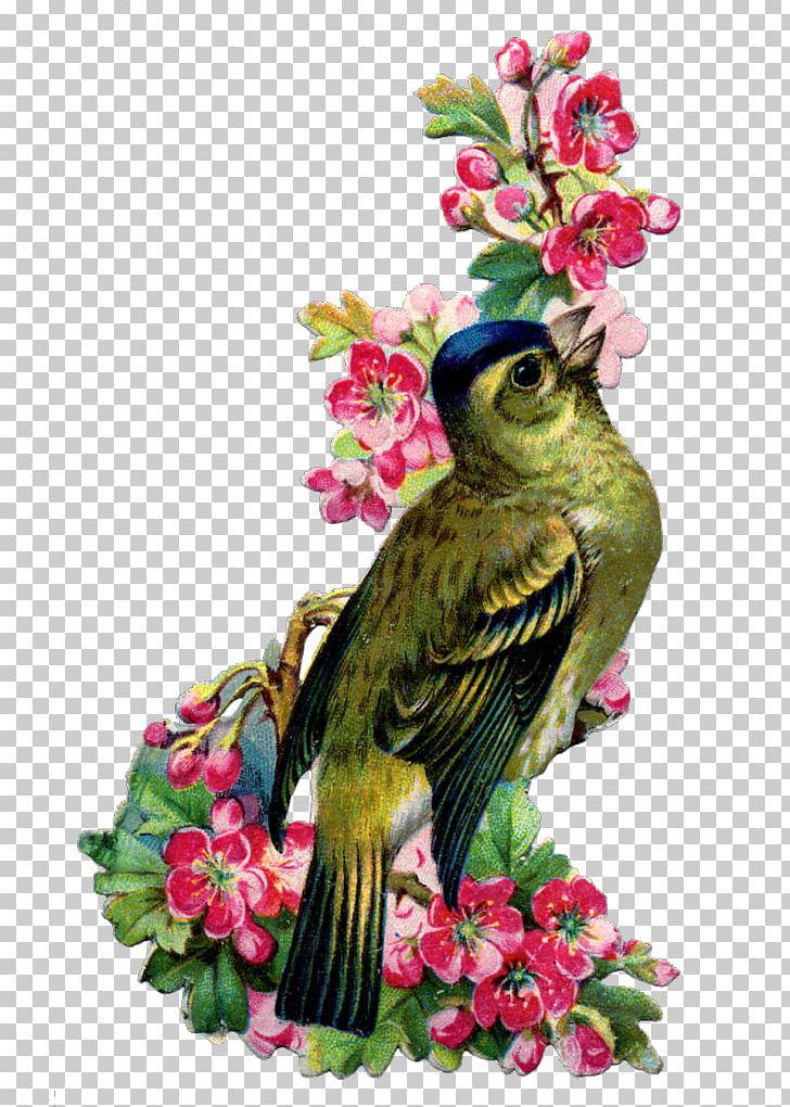 Bird Swallow Vintage Clothing Flower Feather PNG, Clipart, Animals, Beak, Bird, Bird Flight, Blossom Free PNG Download