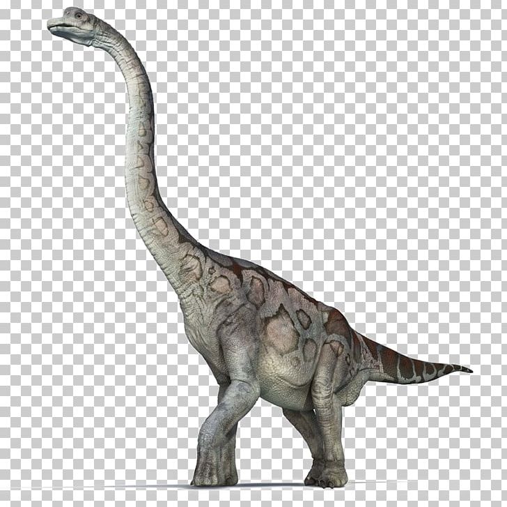 Brachiosaurus Sauropoda Dinosaur Reptile Jurassic Park PNG, Clipart, Animal Figure, Brachiosaurus, Dinosaur, Drawing, Extinction Free PNG Download