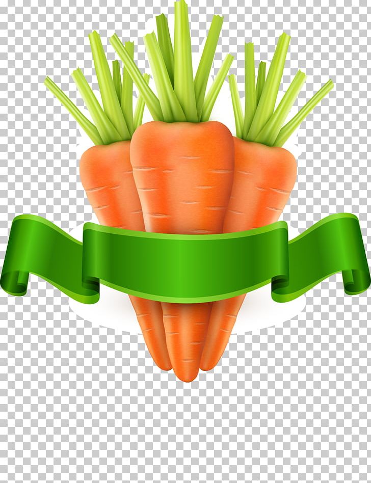 Carrot Vegetable PNG, Clipart, Bunch Of Carrots, Carrot Cartoon, Carrot Juice, Carrots, Carrot Vector Free PNG Download