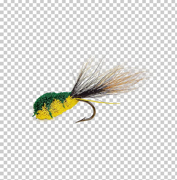 Frog Lithobates Clamitans Insect Holly Flies Product PNG, Clipart, Artificial Fly, Email, Fishing Bait, Fly, Fly Fishing Free PNG Download