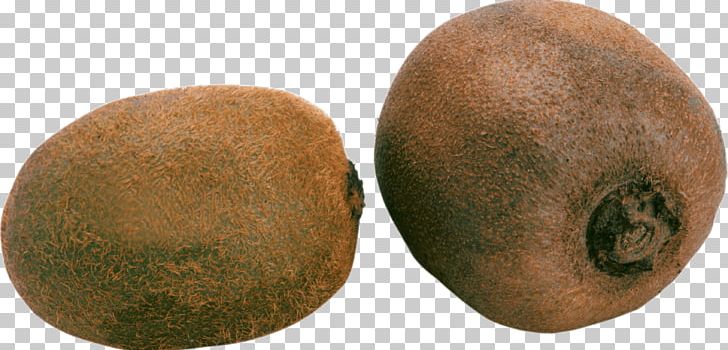 Kiwifruit Actinidia Deliciosa PNG, Clipart, Actinidia, Actinidia Deliciosa, Clip Art, Download, Fitfam Free PNG Download